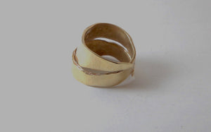 Double Strip Ring