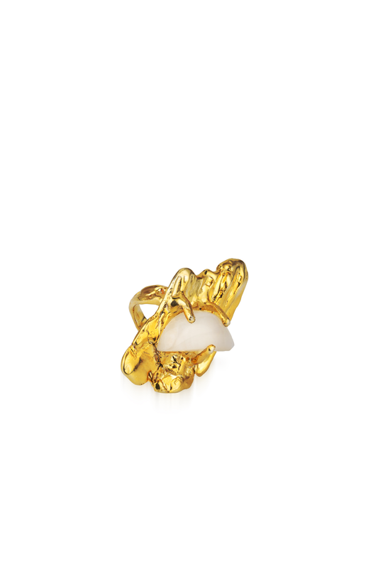 Rough Ring
